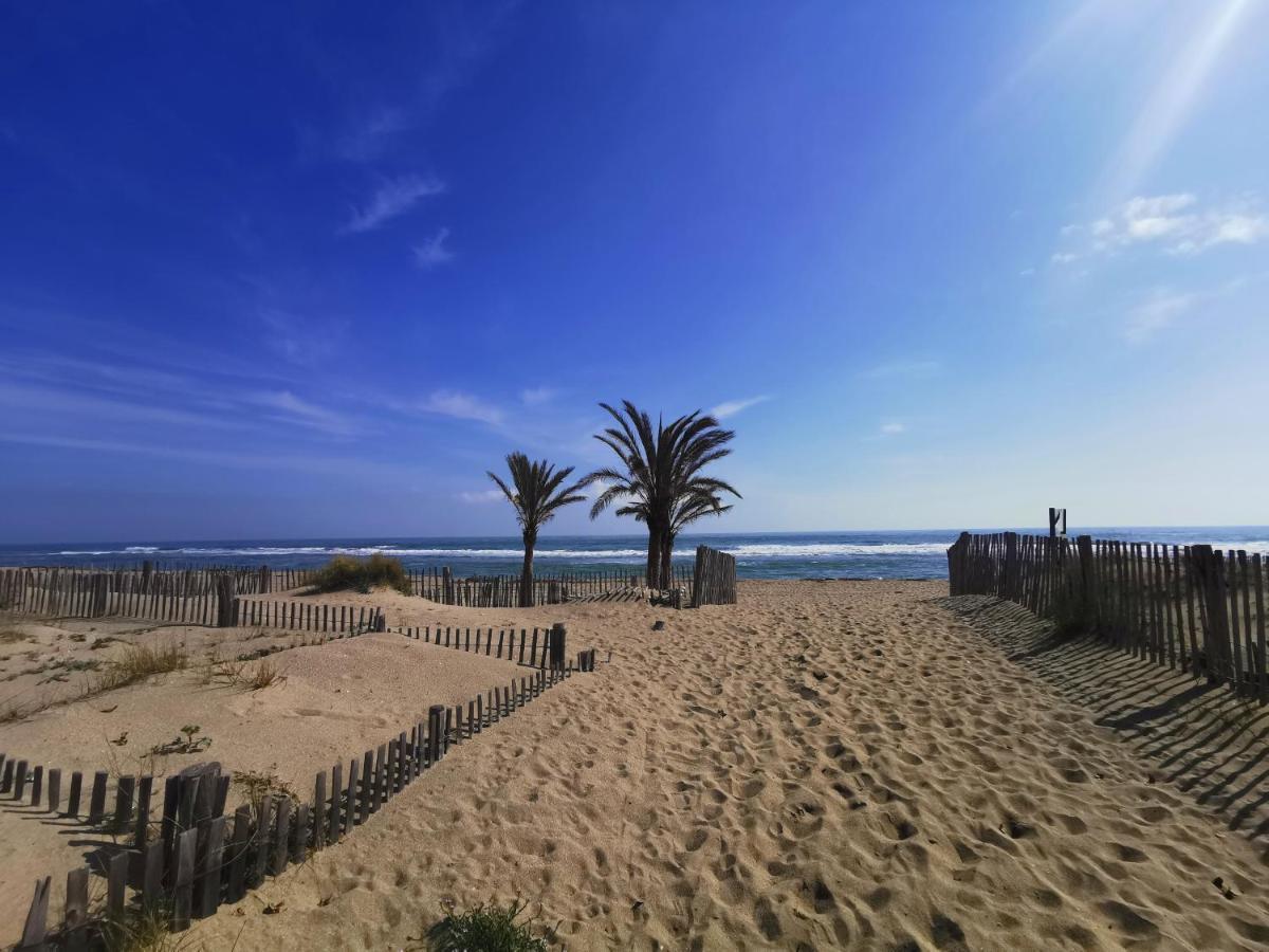 Soleil Levant 2 - En Bord De Mer - Superbe Appartement Cosy - Acces Direct Plage - Proche Commerces Et Animations Le Barcarès المظهر الخارجي الصورة
